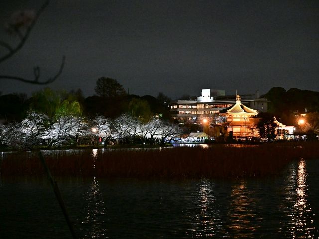 上野恩賜公園一日遊🌸東京文化 x 美食 x 綠意一次滿足！