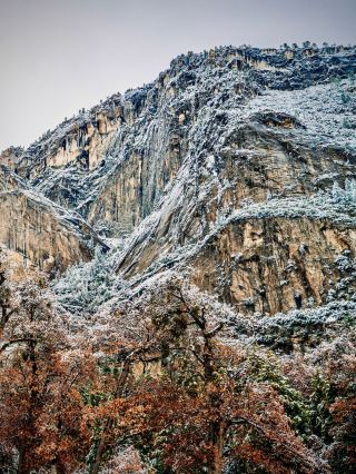 印尼 龍目島 Sembalun 山谷 長滿苔蘚的雪絨花草原 easytravelpost