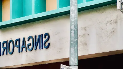 The Tilted Lion Head of a Joo Chiat Road Shophouse. — traveler post in Rye