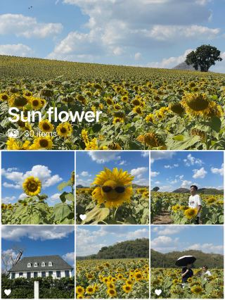 The Truth About Chasing Blooms: Rai Manee Sorn! 