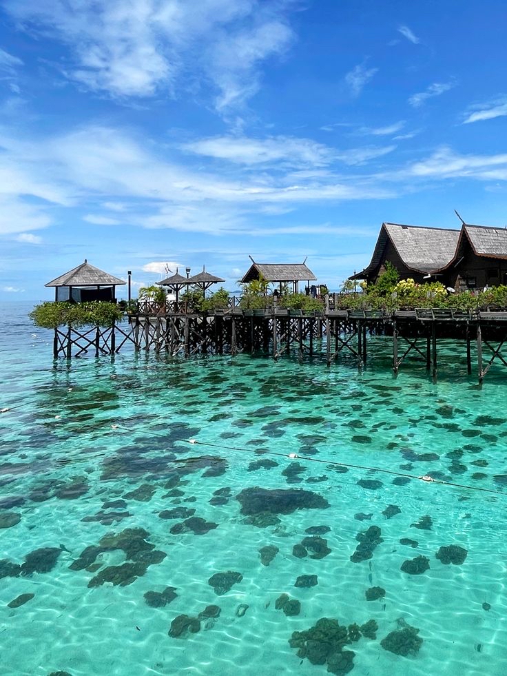 Why the Sipadan Islands Remain My Ultimate Repeat Destination
