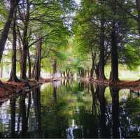 A View of Mexico City Through the Xochimilco Canals