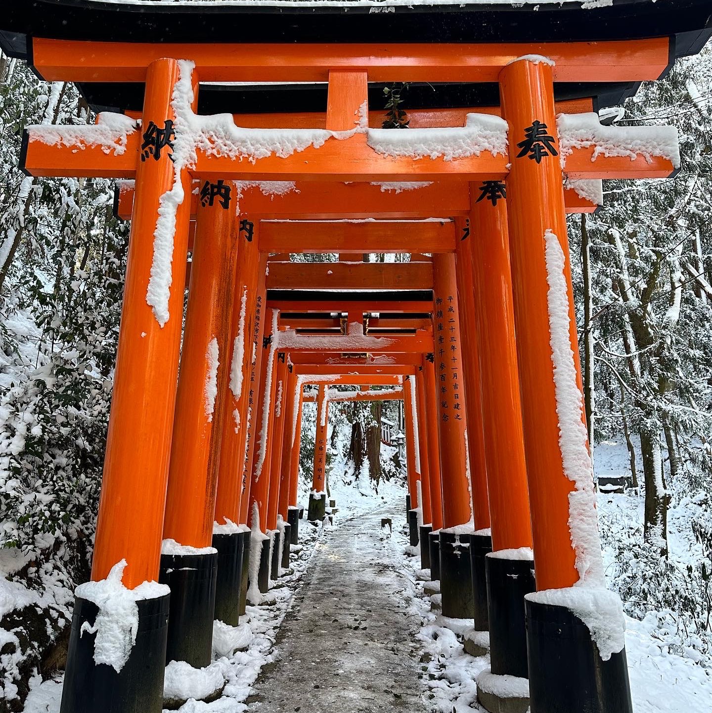 A trip to Fushimi Inari Temple in Kimono | Trip.com Kyoto