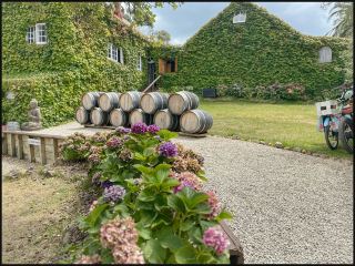 Wine Tasting at Waiheke Island 