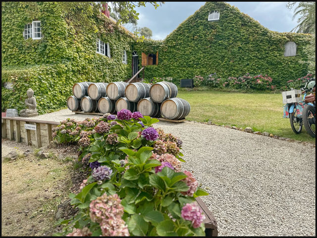 Wine Tasting at Waiheke Island 