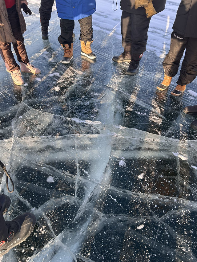長期滞在でみたオーロラの確率inイエローナイフ