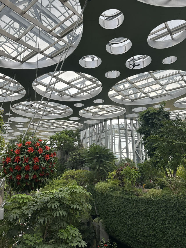 The Shanghai Expo Botanical Garden