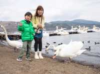 山中湖做什麼