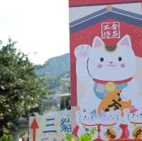 台北 - 闖入喵喵的世界🐱
