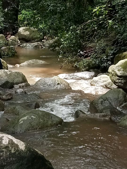 Khao Chomphu Wildlife Sanctuary