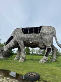 Big Cow Art Piece Along Andreas Schotel Wander Route