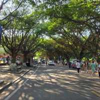 Secret must visit garden in Guangzhou