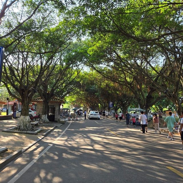 Secret must visit garden in Guangzhou
