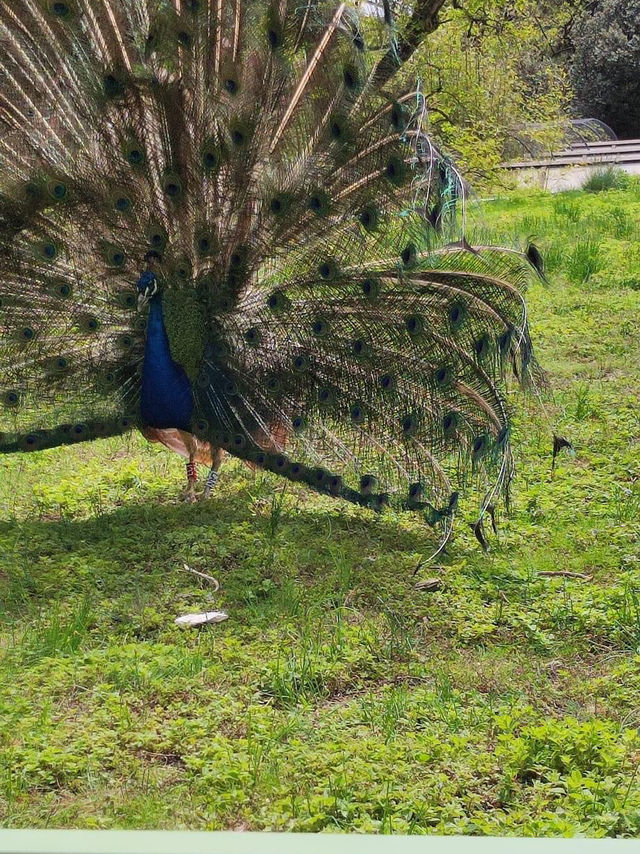 Great family trip at the zoo 🇫🇷