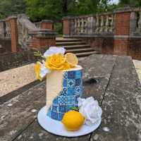 baby shower picnic 