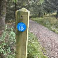 The fellside trail