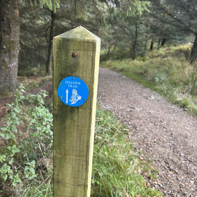 The fellside trail