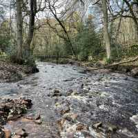 A Yorkshire Walk