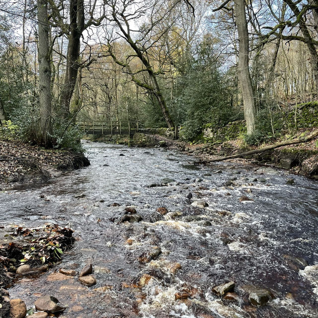 A Yorkshire Walk