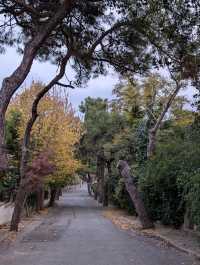 Heybeliada: A Peaceful Escape from Istanbul