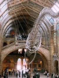 A Perfect Family Day Out at the Natural History Museum, London 