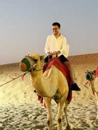Dubai Desert Safari: A Thrilling Adventure in the Dunes! 🏜️🐪✨