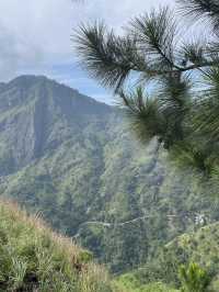 Nature lovers will love this!