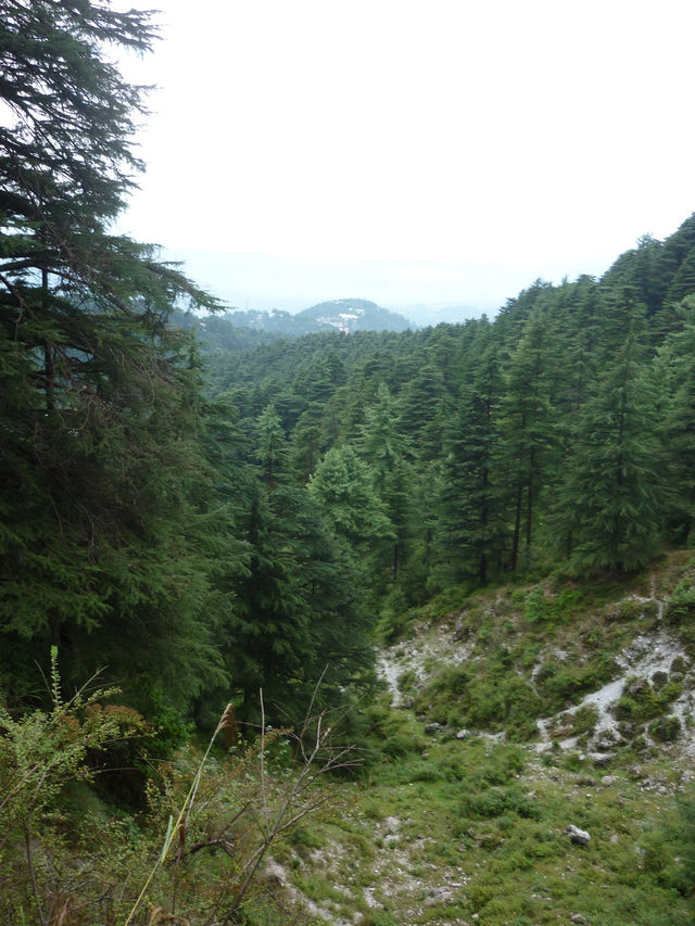 Triund Hike, Dharamshala