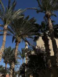 Sharm El Sheikh’s hotels