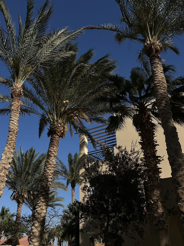 Sharm El Sheikh’s hotels