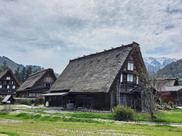 Shirakawa-gō: Thatched Roofs, Mountain Breezes, and Sweet Churros