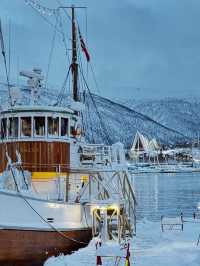 MUST-SEE: Arctic Cathedral in Tromso 