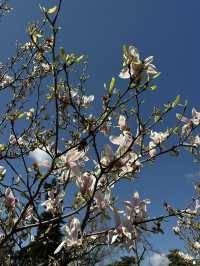 Best of spring in Madrid