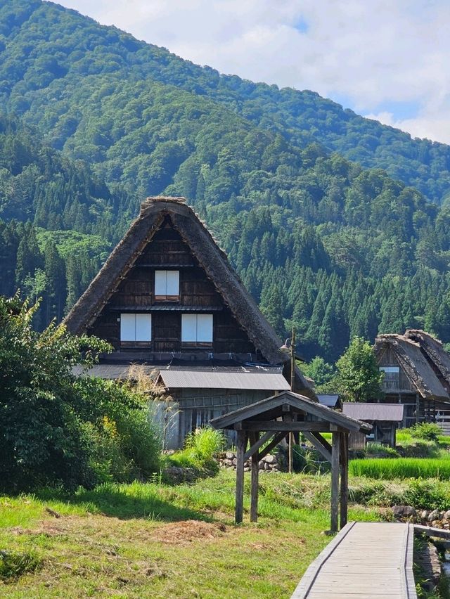 🏔️ Takayama, Shirakawa-go or Kanazawa? Which Japanese Alps Gem Should You Visit?