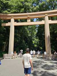 🗼 Where to Stay in Tokyo (First-Time Visitors)