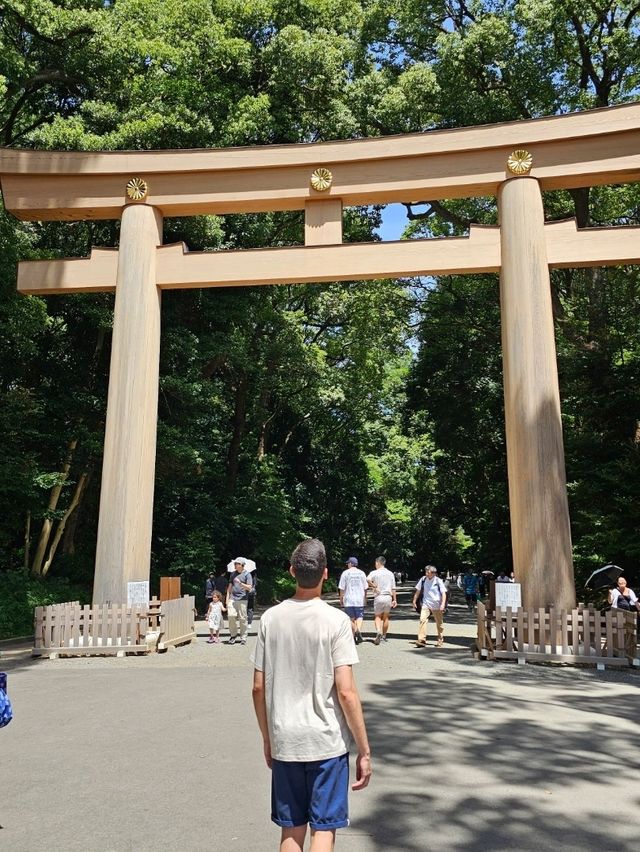 🗼 Where to Stay in Tokyo (First-Time Visitors)