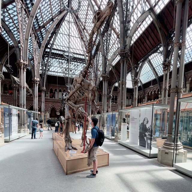 🦕🏛️ Explore Oxford’s Free Natural History Museum! 🇬🇧✨