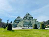 Backpacking Through Vienna: Classical Notes and Coffee Streets