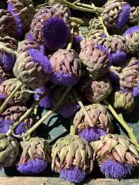 Aix en Provence ｜Saturday market you cannot miss