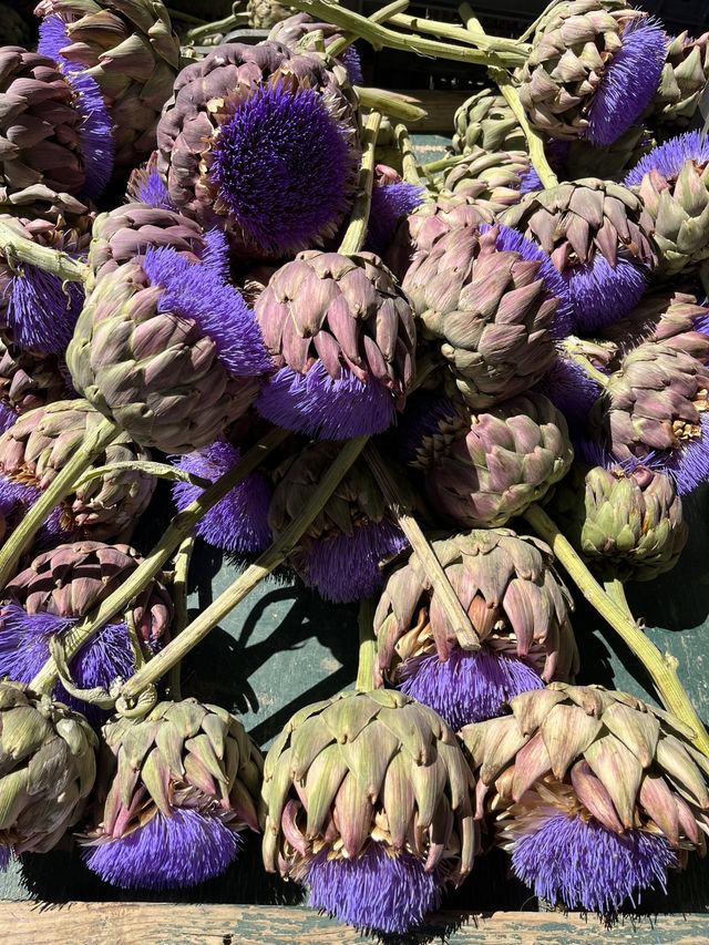 Aix en Provence ｜Saturday market you cannot miss