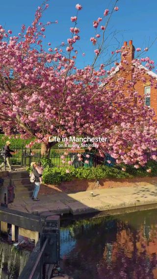 🎶 Manchester: A City of Industry, Music, and Bold Identity 🇬🇧✨