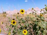 Otherworldly & Underrated: Why Badlands National Park is America’s Best Hidden Gem