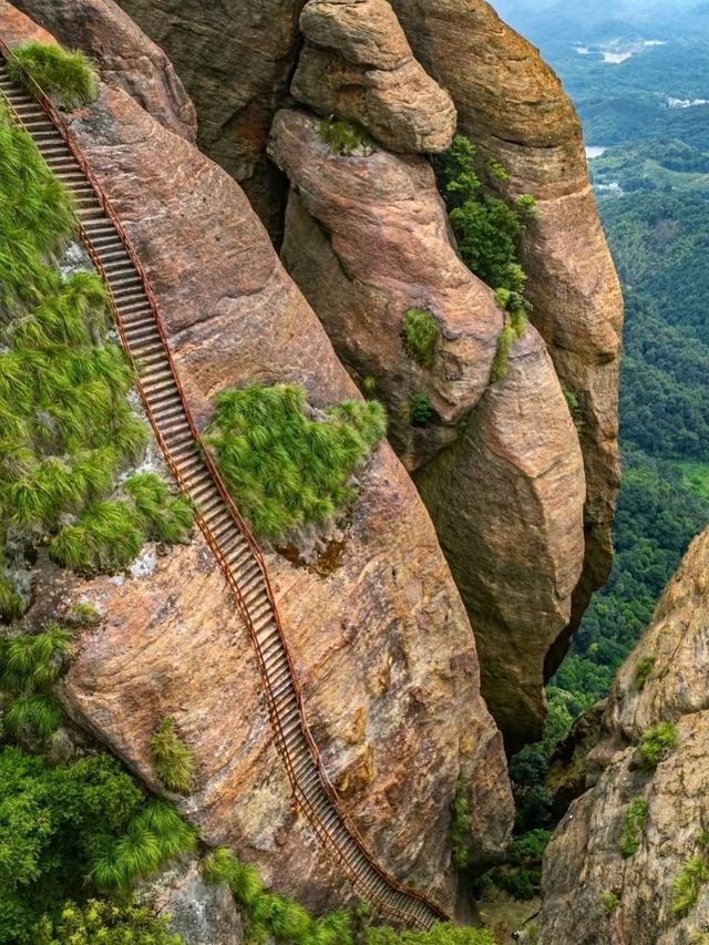 ⛰️ Guifeng Mountain – Nature’s Quiet Escape in Wuhan