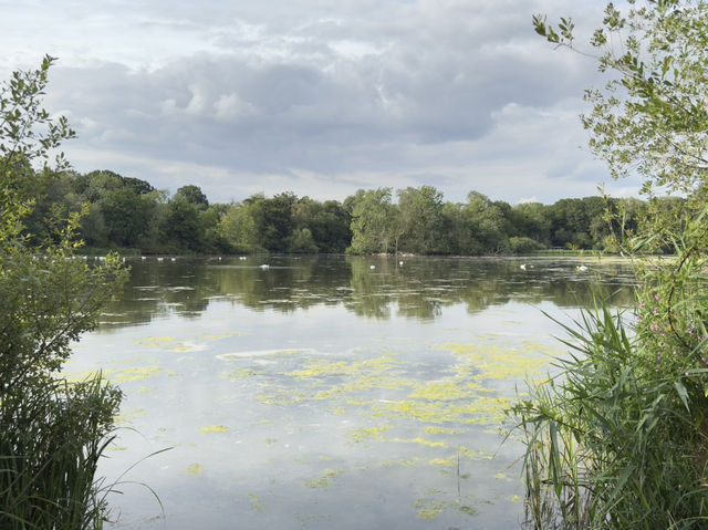 A day out in the countryside near coventry!