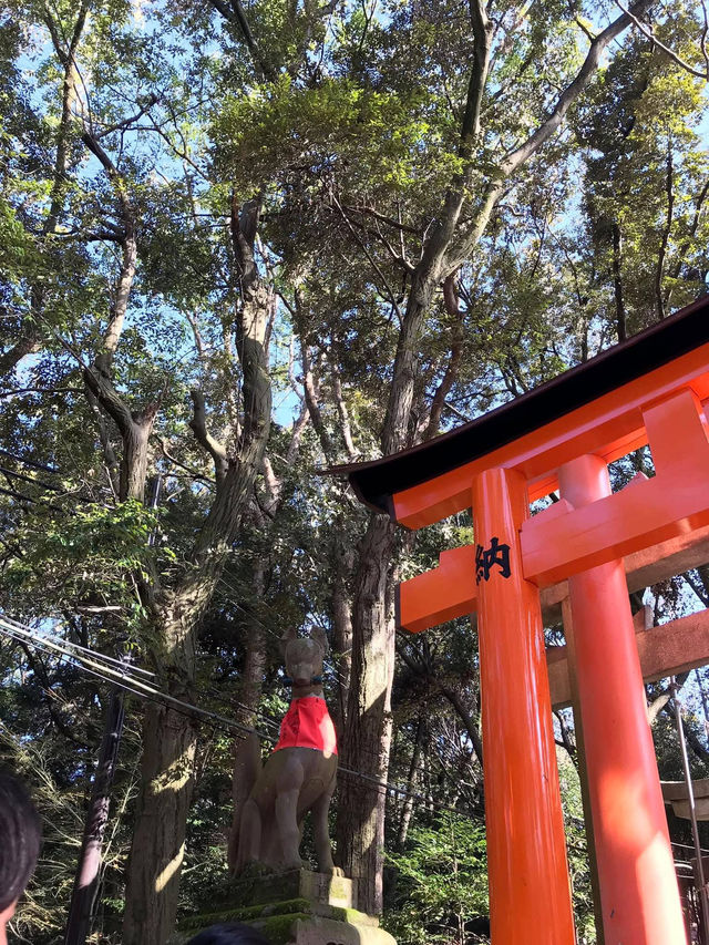เมื่อความหนาวพาเราไปหาเสาแดง ฟุชิมิ อินาริ⛩️