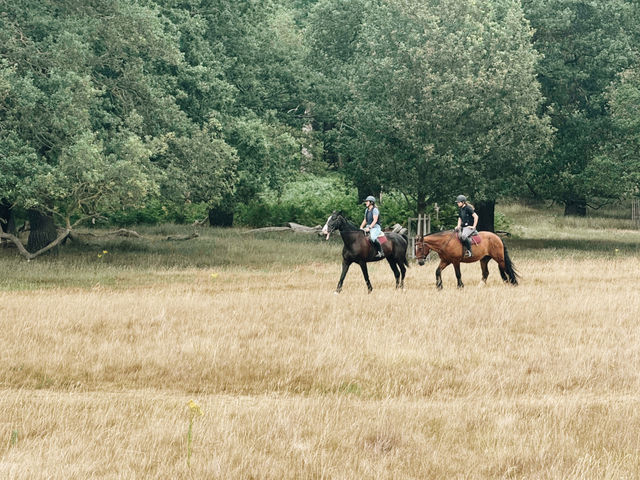 Richmond Park: Royal Nature, Wild Deer & Epic Views