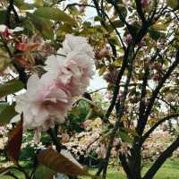 Escape the City: Kew Gardens – London’s Secret World of Green