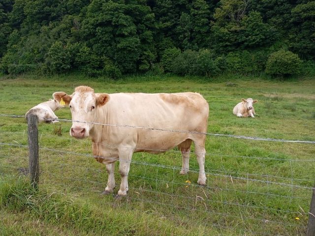 The Laugharne Loop