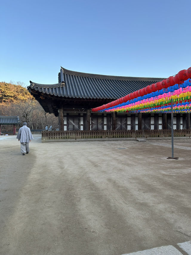 Donghwasa Serenity in the Middle of the Korean Hills
