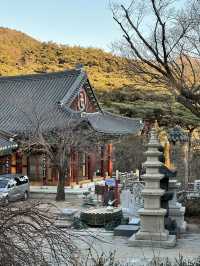 Get Ready to discover the hidden wonders of Daegu!